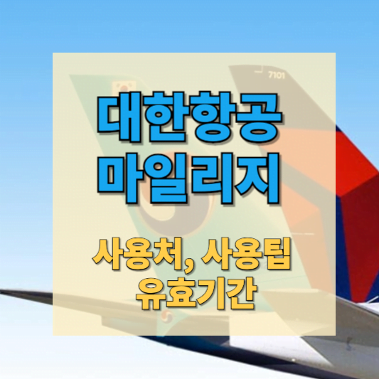 Untitled design 001 (1)